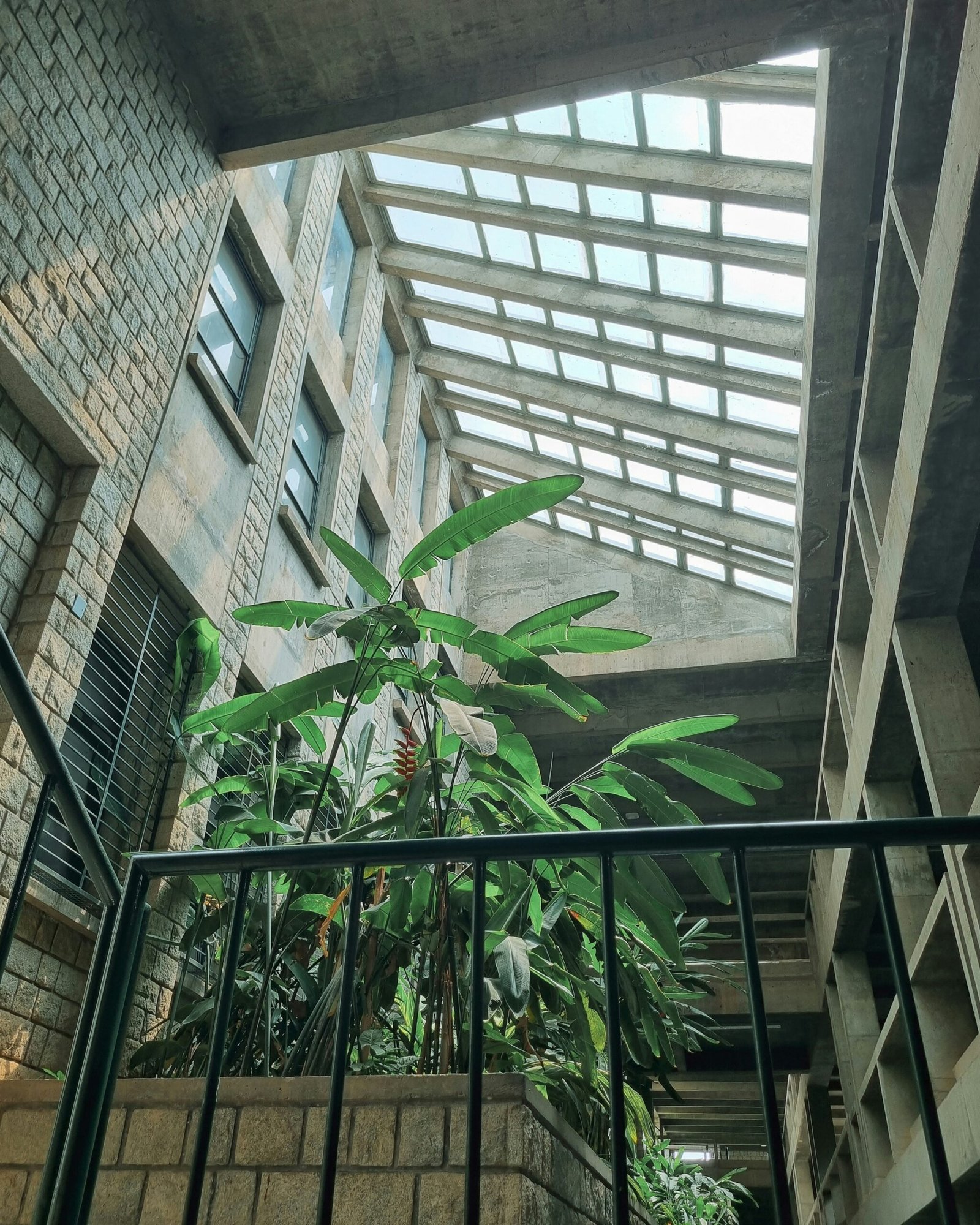 a plant in a planter on a balcony